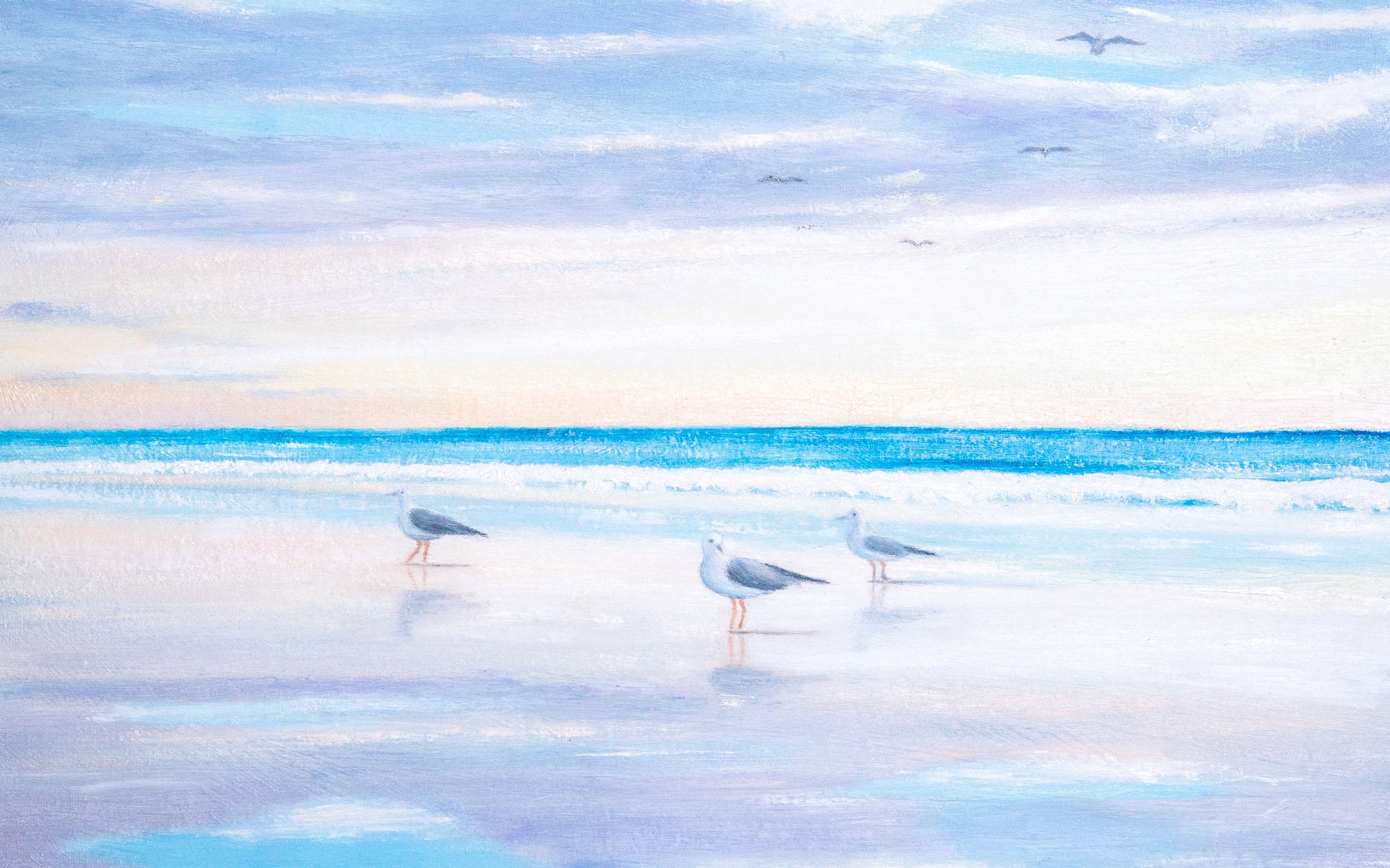 Gulls on the Shore