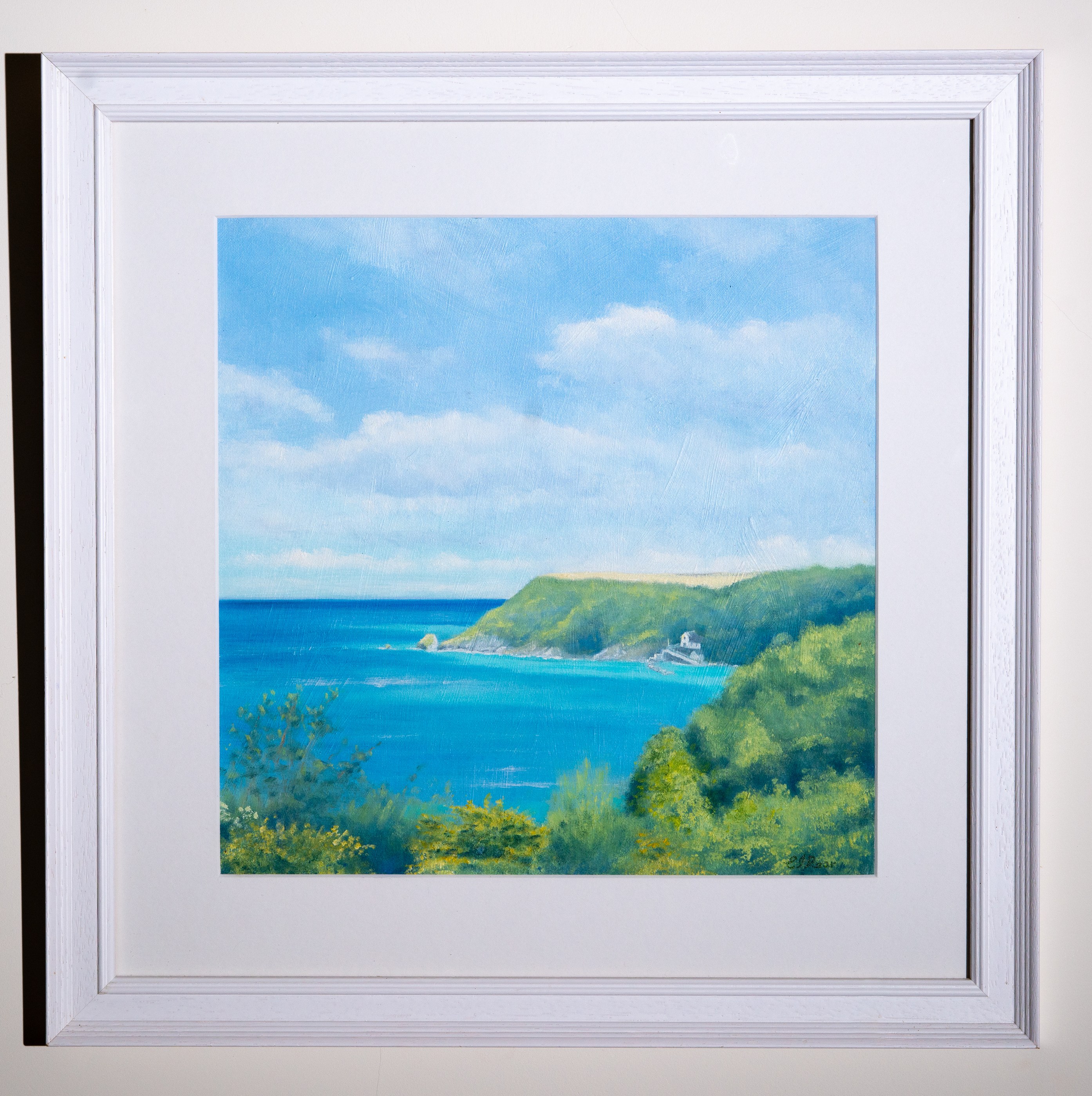 The Cove — Original